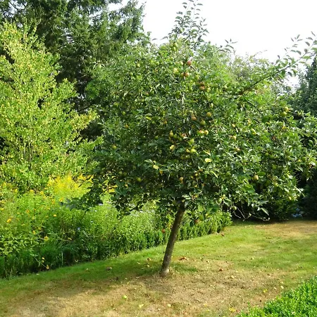 Hygge Hus - Modern Und Stilvoll Eingerichtete Fuer 2 Personen Auf Dem Lande